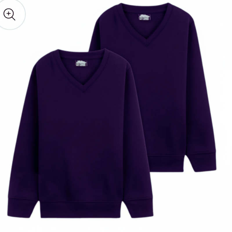 N004 NAVY BOYS 2 PACK VNECK SWEASHIRT SWEATER