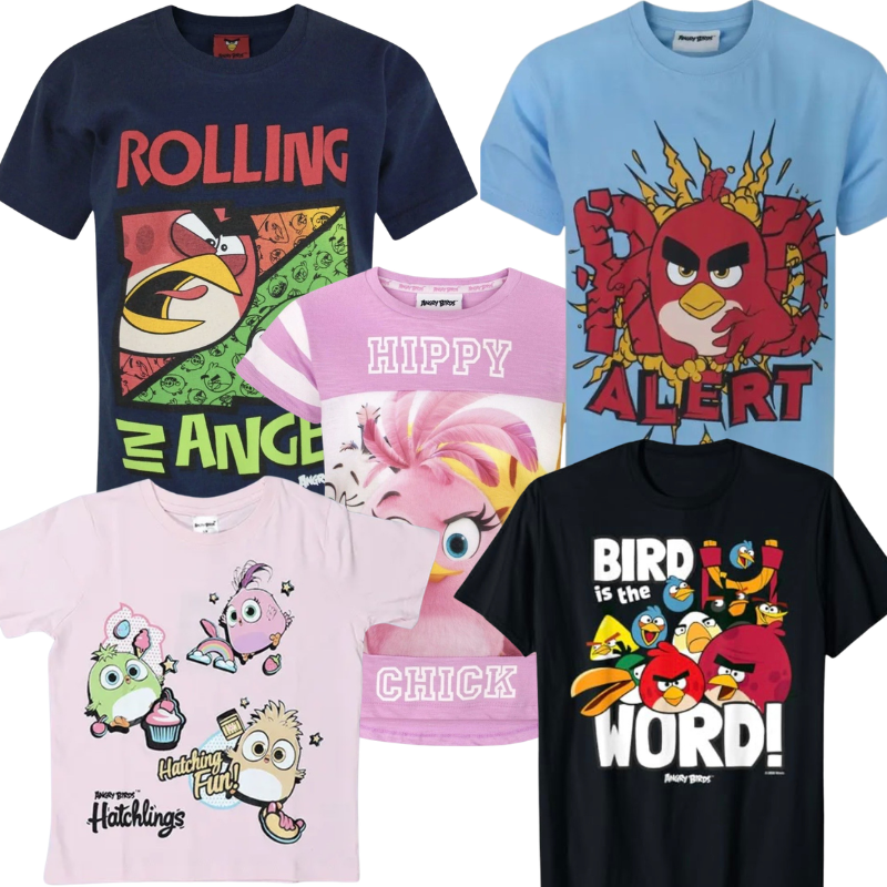 1005 KIDS ASSTD ANGRY BIRD TEES (DESIGNS WILL VARY)