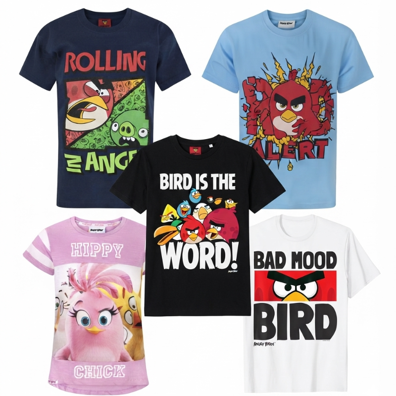 1005 KIDS ASSTD ANGRY BIRD TEES (DESIGNS WILL VARY)
