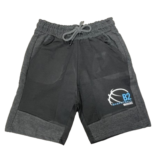 9190 BOYS B2 BASKETBALL FLEECE SHORTS