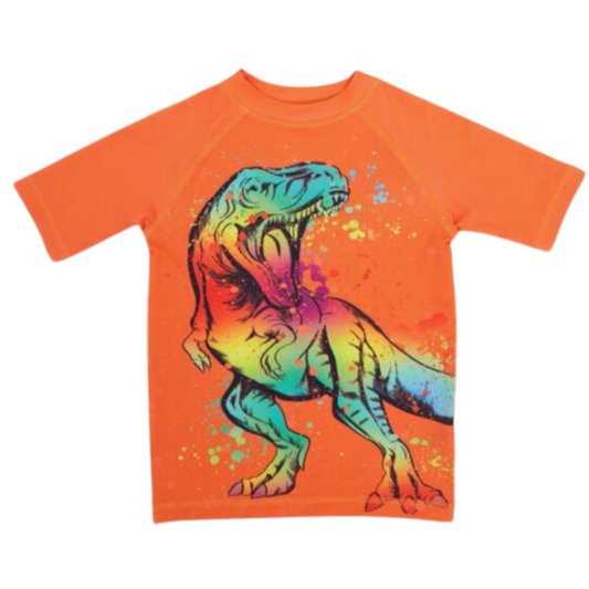 1727 BOYS EX STORE DINO  PRINT RASH TOP (UV PROTECTION)