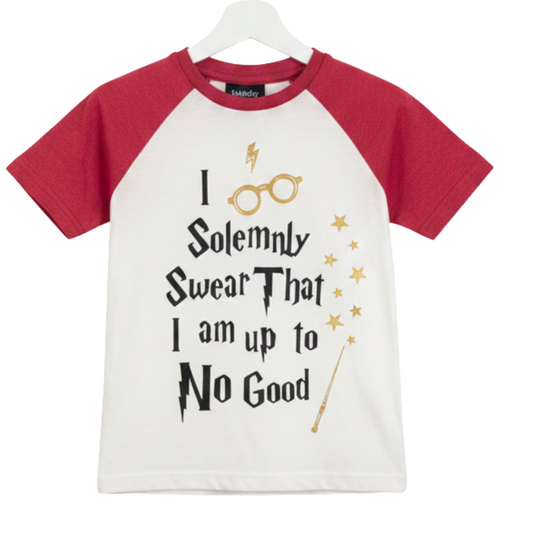 6756 KIDS LICENSE HARRY POTTER GOLD STAR DETAIL TSHIRT